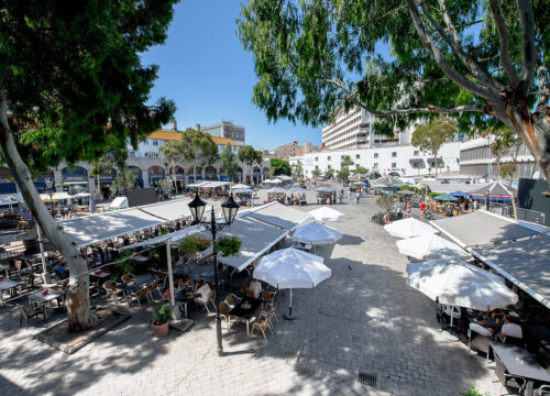 Discover the Unique Flavors of Gibraltar: A Culinary Journey