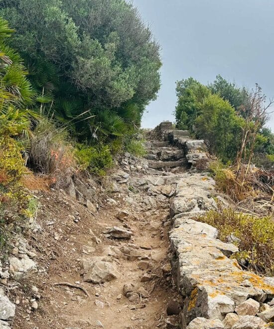 Adventure to the Top - Via Mediterranean Steps