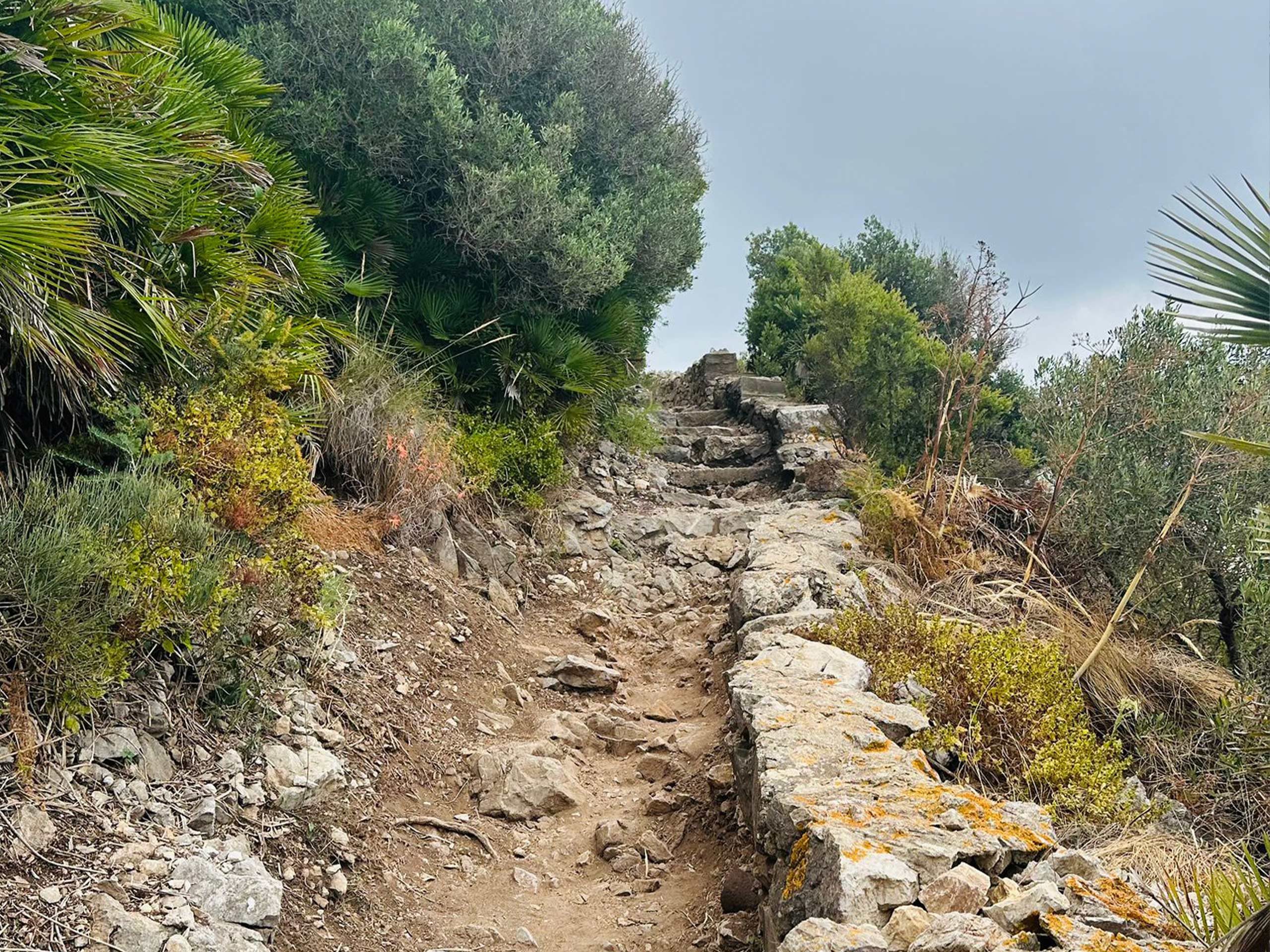 Adventure to the Top - Via Mediterranean Steps